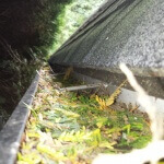 Gutter Cleaning Langley